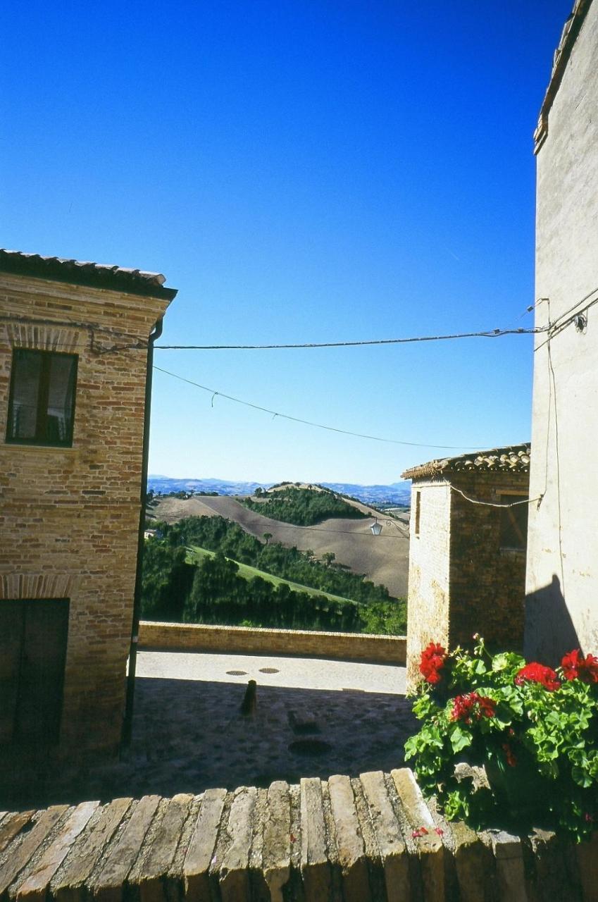 Agriturismo Pozzuolo Serrungarina Екстериор снимка