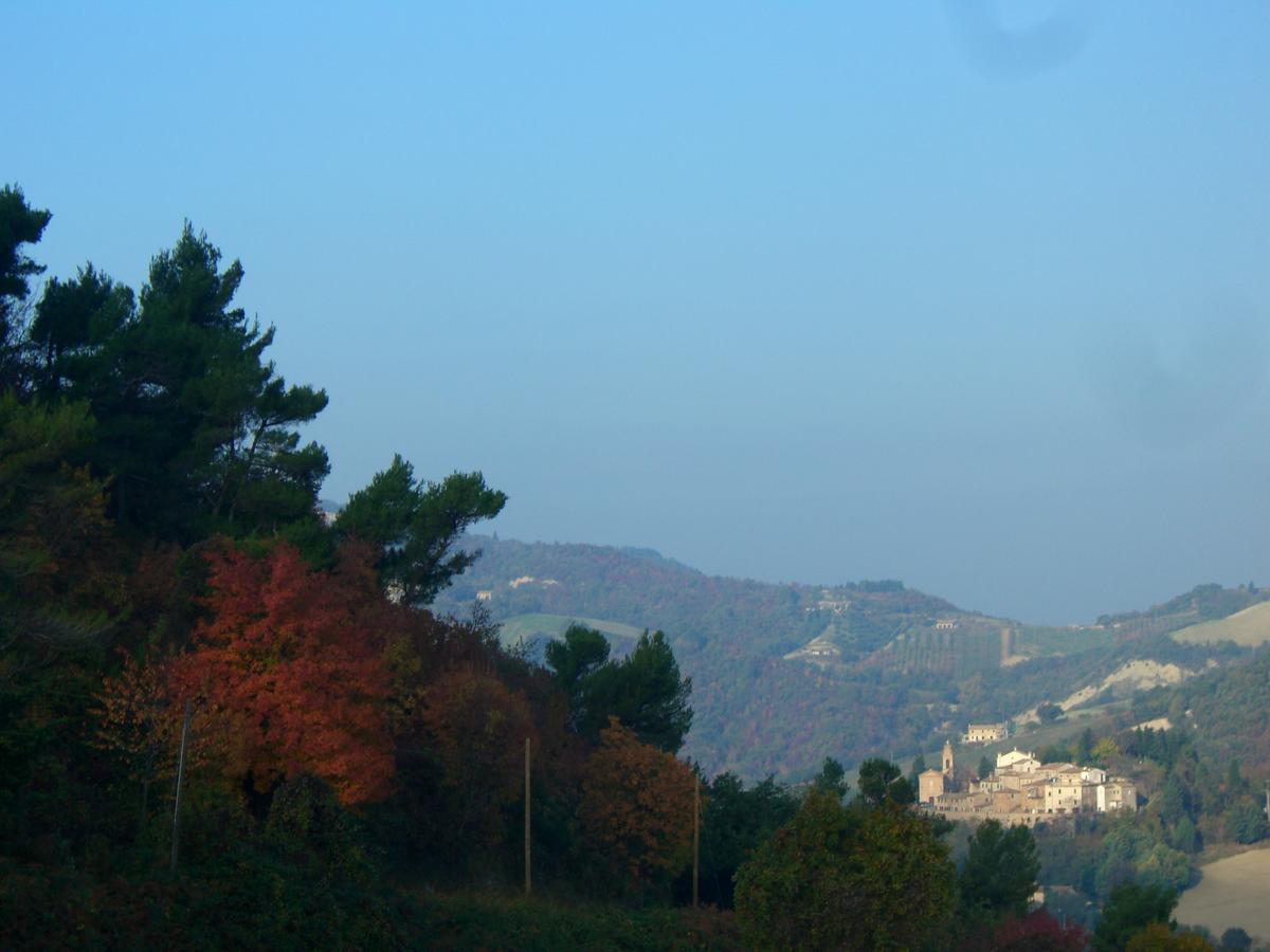 Agriturismo Pozzuolo Serrungarina Екстериор снимка