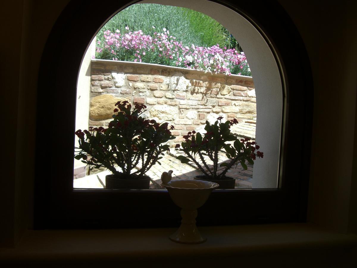 Agriturismo Pozzuolo Serrungarina Екстериор снимка