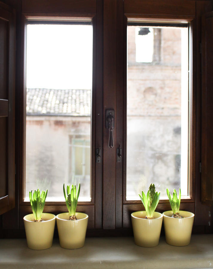 Agriturismo Pozzuolo Serrungarina Екстериор снимка