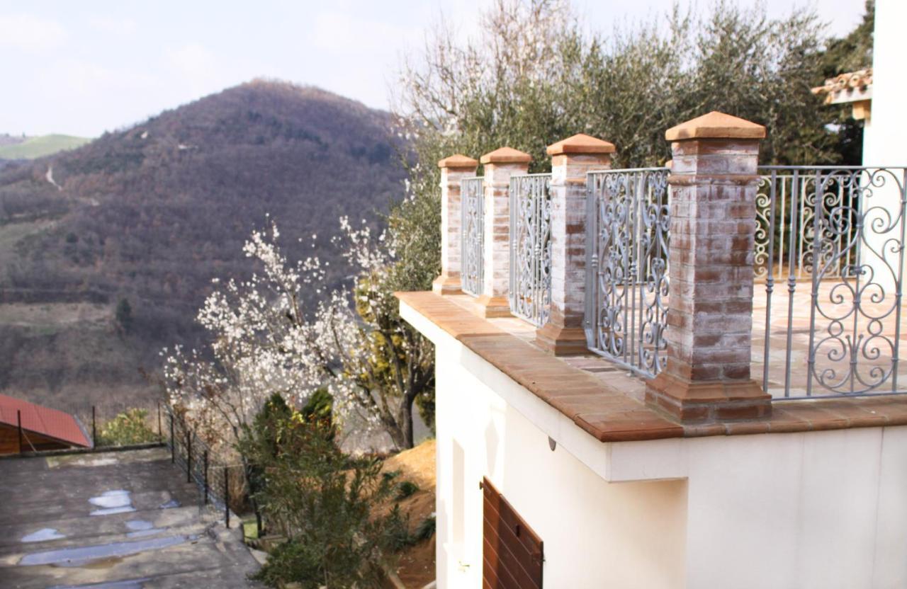 Agriturismo Pozzuolo Serrungarina Екстериор снимка